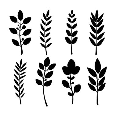 Çeşitli Siyah Botanik Dalları Koleksiyonu Siluetleri Vektör Resimleri