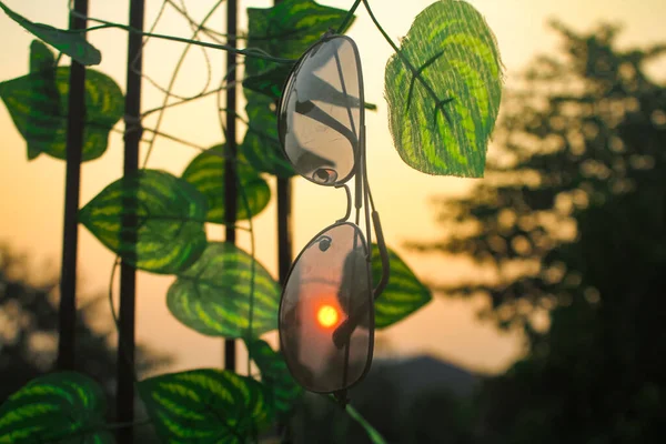 Yaprakların arasında güneş gözlüğü ve erken sabah manzarası, yaz yaşam tarzı teması.