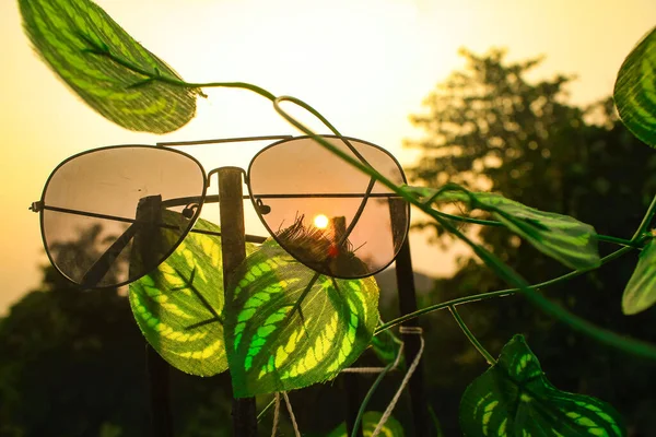 Bardaklar ve sıcak sabah atmosferi.