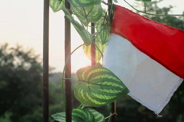 Endonezya 'daki sabah atmosferi yaz boyunca sabah güneşi parlak ve sıcak..