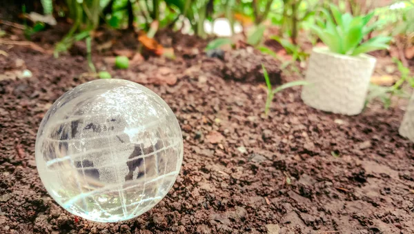 Nemli toprak ve bir sürü ağacın olduğu bir ortamda şeffaf küre, sürdürülebilir bir sistemin teması.