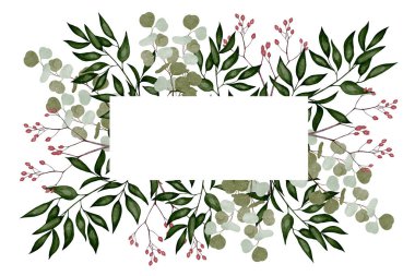 Yeşil okaliptüs yaprakları ve kırmızı böğürtlenli suluboya çerçeve. Beyaz arkaplanlı el yapımı botanik çizimi. kartvizitler, düğün davetiyeleri, kartlar, ambalajlar ve dekoratif tasarımlar için