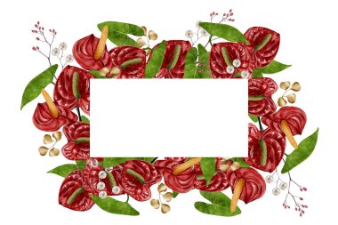 Kırmızı anthurium çiçekleri ve yeşil yapraklı çiçek çerçevesi, beyaz arka planda suluboya çizimi. Davetiyeler, tebrik kartları, posterler, ambalajlar ve tropikal çiçek tasarımı projeleri için mükemmel..