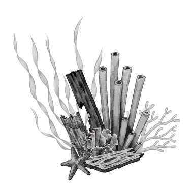 Beyaz arka planda siyah ve beyaz raster renginde mercanlar, tahta tahtalar, deniz yıldızları, yosunlar ve resif mercanları. Deniz tasarımı, ambalaj, dekor ve su altı projeleri için mükemmel.