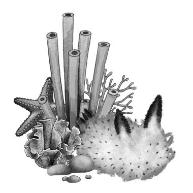 Deniz salyangozu, denizyıldızı, mercan, tüp sünger ve taşlarla dolu deniz canlılarının siyah ve beyaz çizimi. Dövme sanatı, deniz dekorasyonu, posterler ve ambalaj için el yapımı sualtı kompozisyonu
