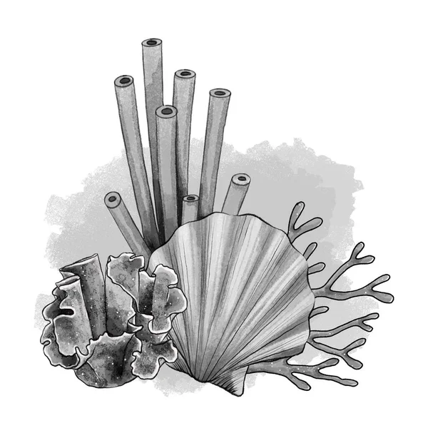 Deniz kabuğunun, mercanların ve suluboya desenli deniz süngerlerinin siyah beyaz çizimi. Dövme sanatı, denizcilik posterleri, dekor veya ambalaj için beyaz arkaplan üzerine el çizimi deniz kompozisyonu