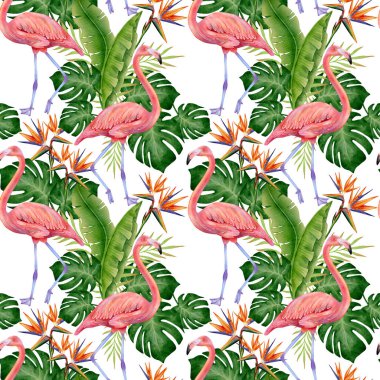 Flamingolar, canavarlar ve muz yapraklarıyla suluboya, beyaz arka planda cennet kuşu çiçekleri, kumaş, duvar kağıdı, ambalaj, kırtasiye ve yaz tasarımı için ideal..