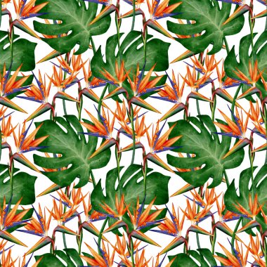 Canavarımsı yaprakları ve cennet çiçekleri kuşuyla sulu boya, beyaz arka planda yeşil yapraklar, kumaş, duvar kağıdı, ambalaj, tekstil ve yaz tasarımı için ideal.