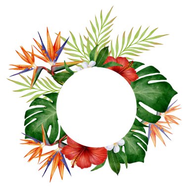 Amberli suluboya tropikal çerçeve, beyaz arka planda cennet kuşu çiçekleri ve canavar yaprakları, yaz davetiyeleri, tebrik kartları, posterler ve botanik süslemeler için ideal illüstrasyon.