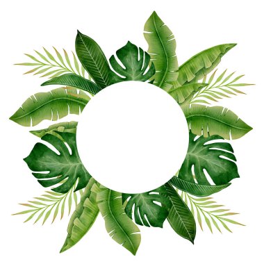 Beyaz zemin üzerinde canavar, palmiye ve muz yaprakları olan suluboya dairesel çerçeve, yaz davetiyeleri, tebrik kartları, posterler, etiketler ve botanik dekorasyon için ideal illüstrasyon.