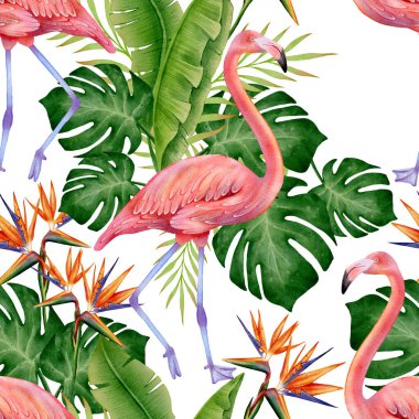 Flamingolar, canavarlar ve muz yapraklarıyla suluboya, beyaz arka planda cennet kuşu çiçekleri, kumaş, duvar kağıdı, ambalaj, kırtasiye ve yaz tasarımı için ideal..