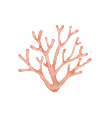 Mercan suluboya çizimi, kartpostal, pankart, davetiye, dekor tasarımı, deniz teması, yaz kutlaması, eğitim materyali, okul projesi ve uluslararası okyanus sanatı için