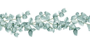 Suluboya resimli okaliptüs dalları mavi-yeşil yapraklı, dikişsiz sınır. Paketleme, kozmetik spa ürünleri, düğün tasarımı eko markalaşma ve doğal dekorasyon için minimalist botanik sanatı.
