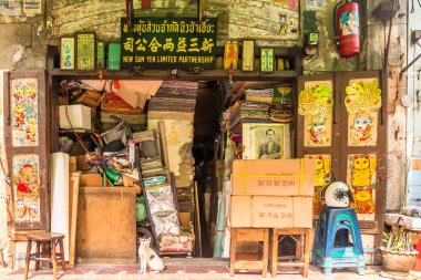 Bangkok sokak kedileri, yerel olarak soi kedileri olarak bilinir, şehrin kentsel alanının belirleyici bir parçasıdır. Sokaklarda, tapınak alanlarında ve hareketli pazarlarda dolaşıyorlar, kırıntılar ve yerel halkın nezaketiyle hayatta kalıyorlar..