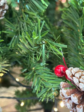 Sezonun selamlama sahnesi. Noel süslemeleri, balolar, kır yıldızları, kutsal meyveler, buzlu ladin dalları yeşil arka planda konfeti, mesajlar ve tanıtım için mükemmel. metin alanı kavramı