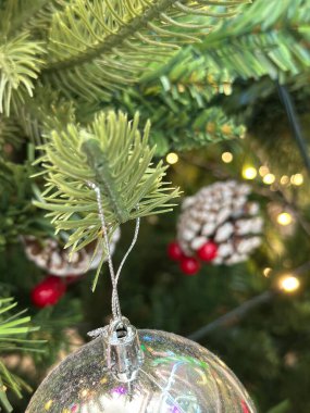 Sezonun selamlama sahnesi. Noel süslemeleri, balolar, kır yıldızları, kutsal meyveler, buzlu ladin dalları yeşil arka planda konfeti, mesajlar ve tanıtım için mükemmel. metin alanı kavramı