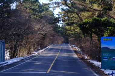 Jeju, Güney Kore - 11 Şubat 2026: Gün batımındaki Jeju cazibesi. Kıyıya yakın beton kuleler yel değirmeni