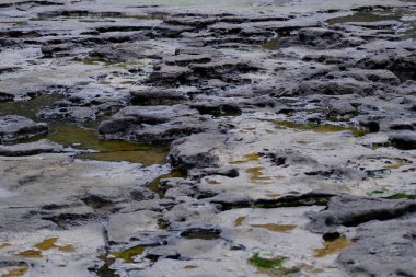 Jeju, Güney Kore - 11 Şubat 2026: Seongsan Ilchulbong olarak bilinen bir tatil ve doğa konsepti olarak gün batımında Jeju cazibesini görmek