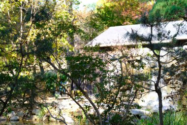 Sonbahar akçaağaç yapraklarının kırmızı renkli ve metin alanlı seçici odak noktalarını kapat