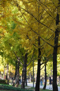 Seoul, South Korea - Jan 2, 2026 : Scenery at the Seoul during autumn season. view of traffic and building city skype as a city concept.