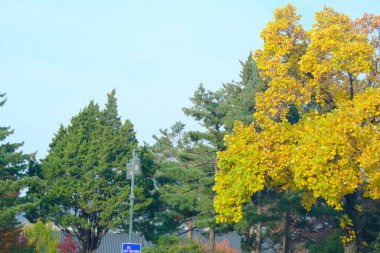 Seul, Güney Kore - 2 Ocak 2026: Seul 'de sonbahar sezonu manzarası. Trafik ve bina manzarası şehir konsepti olarak gökyüzü.
