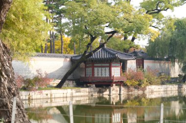 Seul, Güney Kore - 20 Ekim 2025: Seul şehri ve Gyeongbokgung Sarayı manzarası