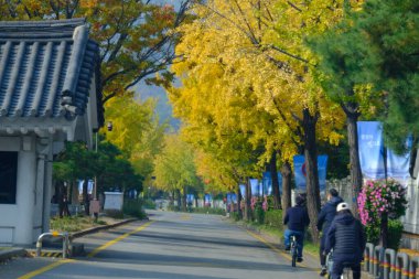 Seul, Güney Kore - 2 Ocak 2026: Akşamları Seul 'de manzara. Trafik ve köprüye bir şehir konsepti gözüyle bakmak.