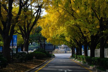 Seul, Güney Kore - 2 Ocak 2026: Akşamları Seul 'de manzara. Trafik ve köprüye bir şehir konsepti gözüyle bakmak.