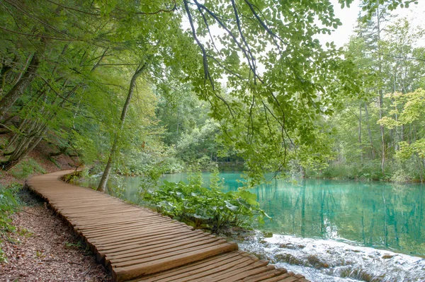 クロアチアのプリトヴィツェ湖 — ストック写真