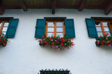 Hallstat Avusturya Alpleri