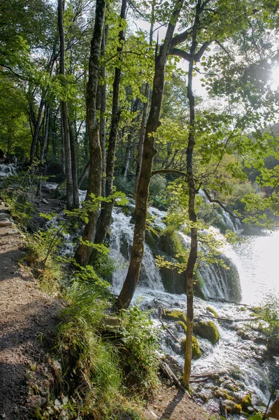 Hırvatistan Plitvice Gölleri — Stok fotoğraf