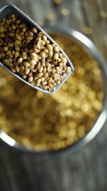 Tohumlarla dolu çelik bir kaseye dökülen kişniş tohumlarının yukarıdan aşağı bakışı