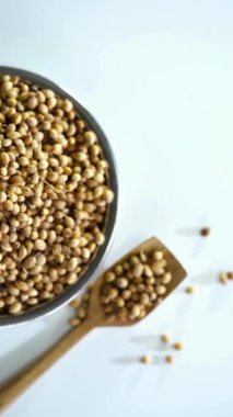 Çelik bir kâse içindeki kuru organik kişniş tohumlarının beyaz yüzeye yayılmış ahşap bir kepçe ile mutfak baharatı hazırlığı için..