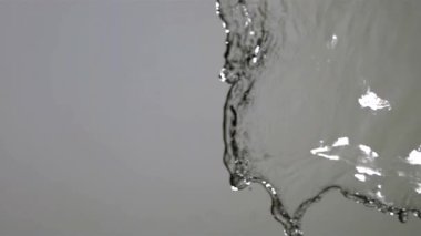 Temiz sudan dökülen taze kırmızı çilekler yavaş çekimde açık gri arka plana sıçramalar ve damlacıklar oluşturur.