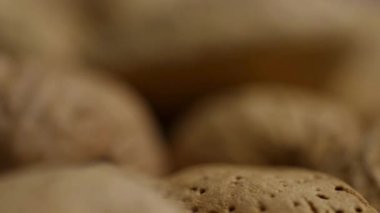 Ekstrem makro izleme görüntüsü çeşitli fındıkların dokulu yüzeylerinde hareket ediyor. Doğal kabuklarında badem, ceviz ve fıstık da dahil.