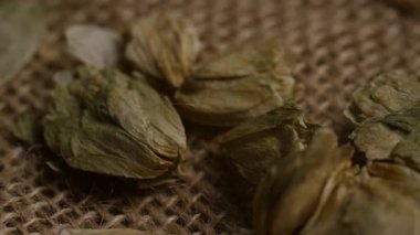 Kurumuş yeşilin makro videosu çiçekler kırsal bir çuval bezi üzerinde bira yapmak ve bitkisel ilaç yapmak için dinleniyor.
