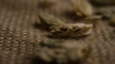 Çuval bezi desenli kurutulmuş kozalaklar bira mayalaması ve tarım ürünleri konseptleri.