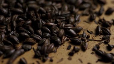 Siyah bira ve hamal yapımında ya da zengin ekmek pişirmede kullanılan koyu kavrulmuş çikolata taneleri.