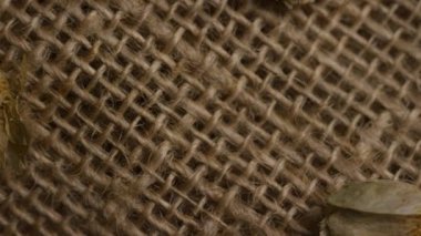 Kurumuş yeşil zıplama konileri bira ve bira demlemek için kullanılan kaba kahverengi çuval deseninde yatar. İçeceğe acı ve aroma katar.