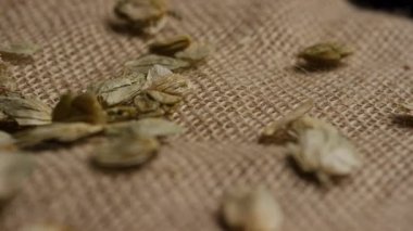 Bira Üretim Endüstrisi Görselleri İçin Dökümlü Çuval Bezi Arkaplanındaki Kurumuş Kalçalar Kaydırma Kamerası Çekimi