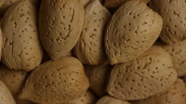 Açık kahverengi kabuklu çiğ badem yığınının makro yukarıdan görünüşü detaylı doku ve sağlıklı çerez besinlerinin doğal desenlerini gösteriyor.