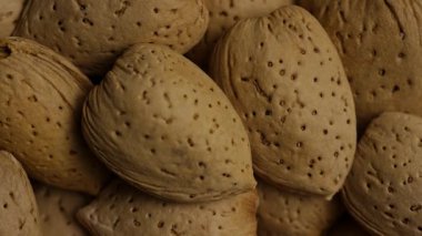 Aşırı Makro Yakın Çekim Hareketi Çiğ organik badem kabuklarının Çukurlu Dokusunun Üzerinde İzleme Gıda Konsepti İçin Sıcak Stüdyo Işığı İçin Bir araya getirildi