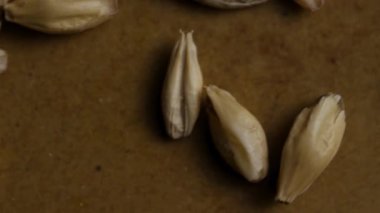 Bira Üretimi ve Sürdürülebilir Tarım Endüstrisi Konseptleri için Yüksek Açılı Tepe Arpa Döndürme Kamera Hareketi