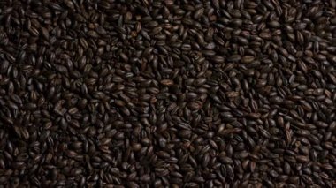 Sert bira demlemek için koyu kavrulmuş arpa taneleri ve yukarıdan bakıldığında yanmış organik tahıl tohumlarının siyah dokusunu gösteren porter birası.