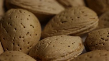 Gözenekli desen ve kahverengi rengi gösteren badem kabuğu yüzeyinin uç makro detaylı görüntüsü