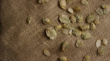 Kurumuş yeşil hop külahlarının tepe görüntüsü. Haşhaş kumaş arka planına saçılmış bira demlemek için.