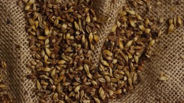 En tepeden aşağı kristal arpa taneciklerinin geniş kırsal çuval dokusuna saçılmış görüntüsü