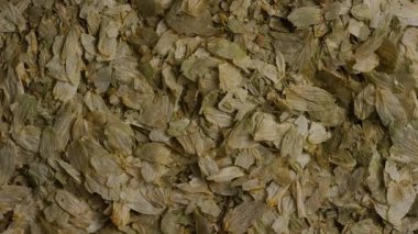 Bira demlemek için kullanılan büyük bir yığın kurumuş yeşil zıpzıp çiçeğinin yakından görüntüsü sürekli olarak yapraklı dokuyu gösteriyor.