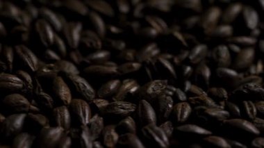 Sert bira demlemek için kullanılan koyu kavrulmuş çikolatalı malt tanelerinin makro görüntüsü aşırı yakın çekim. Dokuları yavaş yavaş değişiyor.