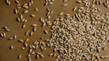 Bira imalatı ve mısır gevreği üretimi için kahverengi yüzey tarımsal arka planına yayılmış arpa tanelerinin görüntüsü.